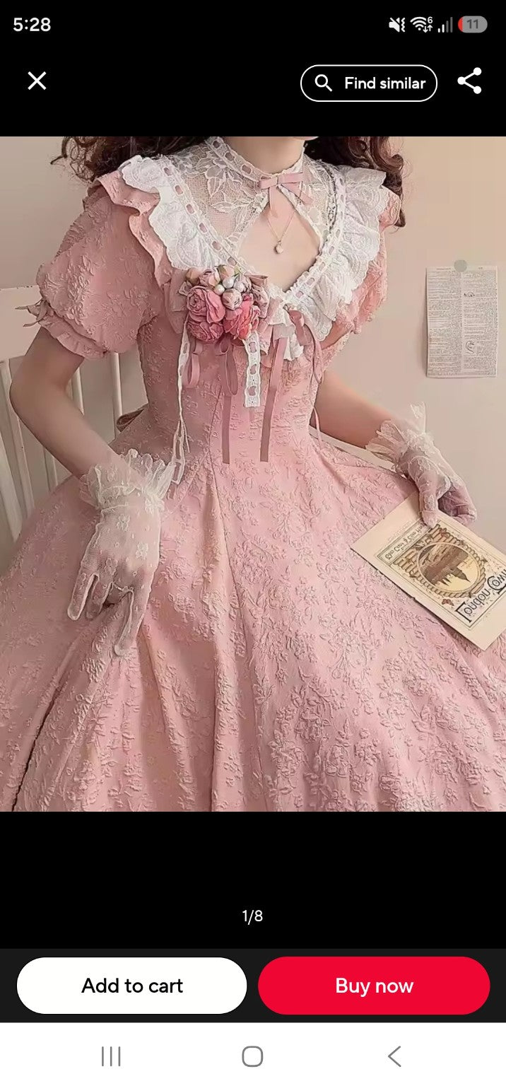 Pastel Garden Princess Dress pink bodice and lace detail